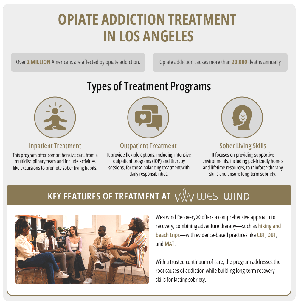 infographic illustrating types of opiate addiction treatment programs
