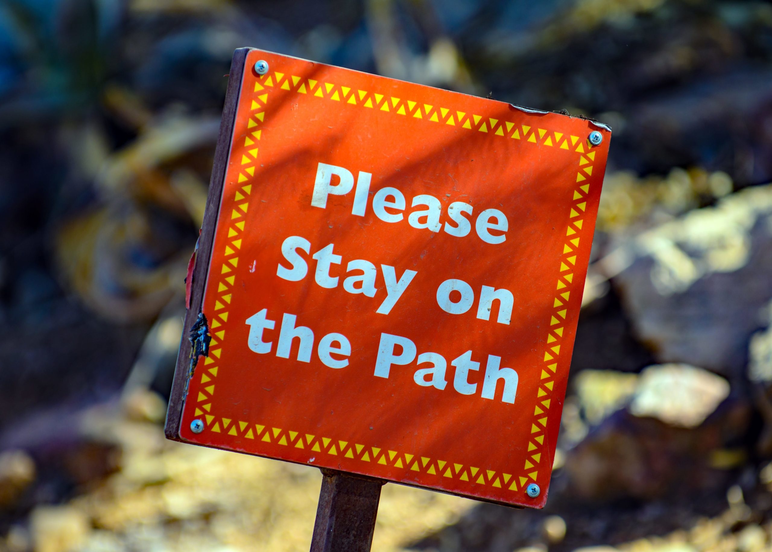 Why There’s More to Recovery Than Sobriety - Westwind Recovery