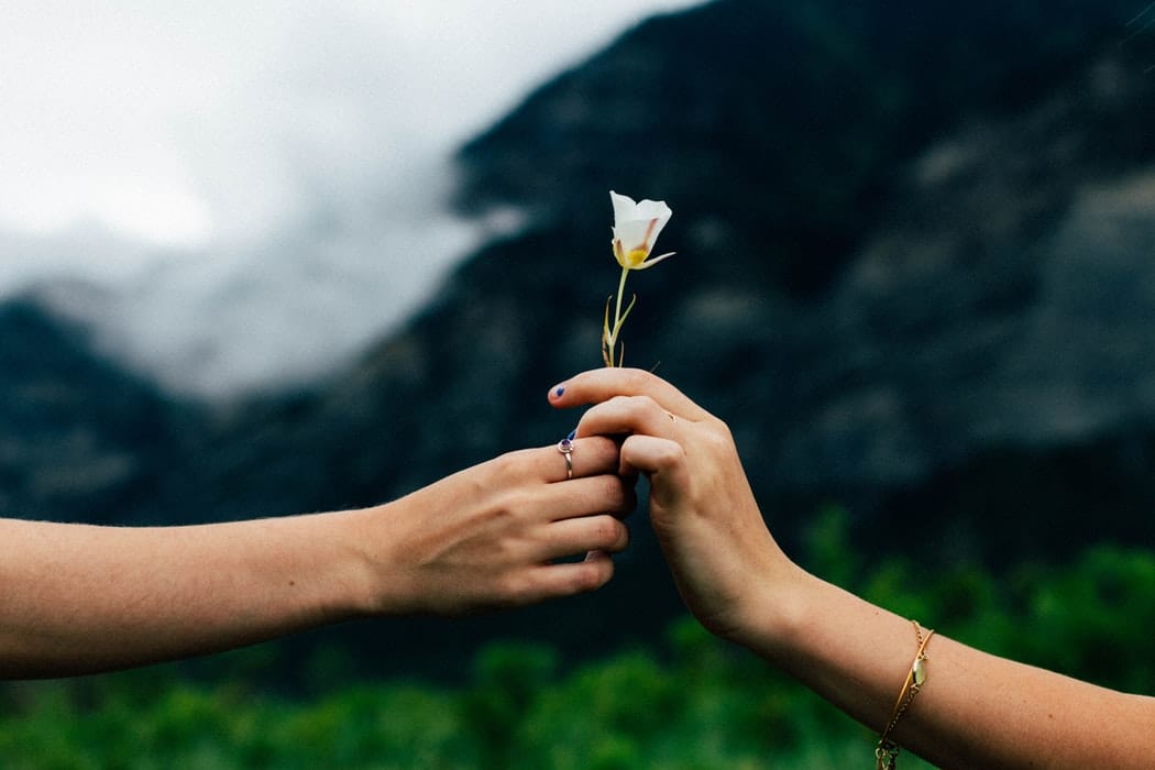 The Gifts of Sobriety | Westwind Recovery