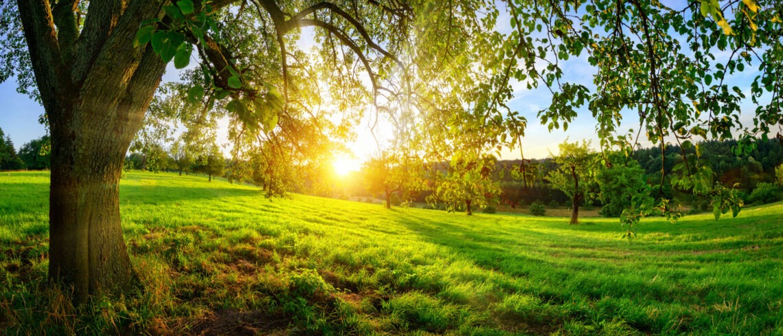 outside-in-nature